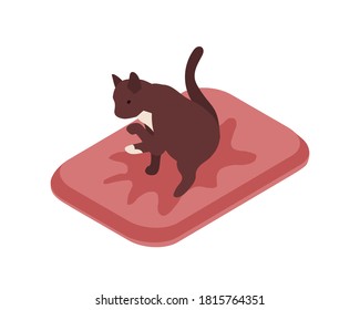 Cute cat sitting in tray over puddle of urine vector isometric illustration. Funny feline domestic animal on the pillow licking itself isolated on white background. Colorful kitty pissing