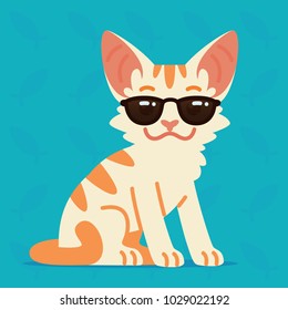 Cute cat sitting. Vector illustration of cool kitty in sunglasses on blue background. Emoji. Element for your design, print, sticker, chat. White cat with orange stripes in flat cartoon style.