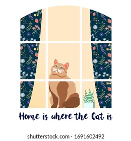 Cute Cat sitting at the window with floral curtains. Home is where the cat is. Vector illustration for postcards, animal shelters, cat breeding adds, inerior designs. Trendy flat cozy Vector art