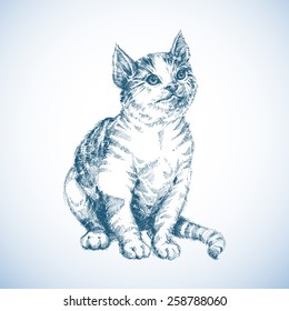 Cute cat sketch