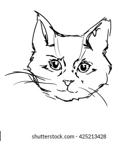 Cute Cat Sketch Vector Illustration Stock Vector (Royalty Free ...