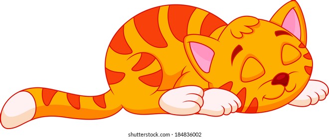 cute cat was sleeping