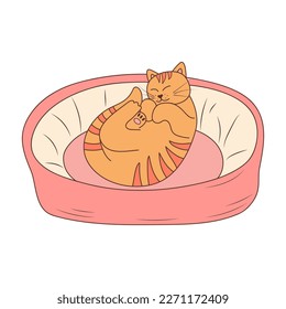 Cute cat sleeping in cat bed in doodle style. Sleepy relaxed feline animal lying on pet cushion.