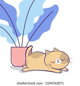 Cute cat sleeping beside a potted plant