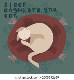 Cute cat sleeping curled up in a ball in cartoon style, for book cover, greeting cards, sticker, clothes. Flat Vector illustration.