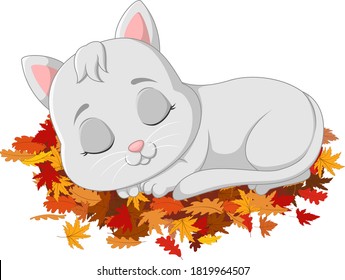 Cute cat sleeping on autumn leaves