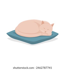 Cute cat sleeping on a cushion, pets concept