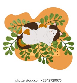 Cute cat sleeping on the leaf Wooden box, flat vector illustration isolated on white background.