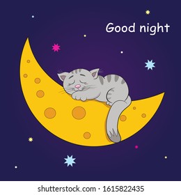 Cute cat sleeping on the moon