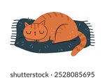 Cute cat sleeping on pet cushion. Vector isolated kitty asleep, lying on soft cozy pillow. Comfortable home animals furniture for felines. Cartoon character relaxing in cold winter season