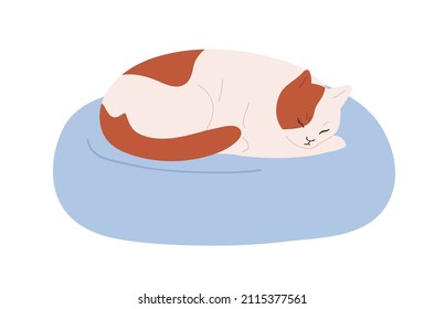 Cute cat sleeping on pet cushion. Kitty asleep, lying on soft cozy pillow. Comfortable home animals furniture for felines. Kitten relaxing. Flat vector illustration isolated on white background