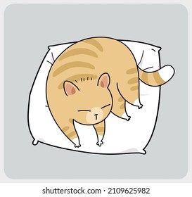 Cute cat sleeping on pillow for web and kids t-shirt design. Vector illustration.
