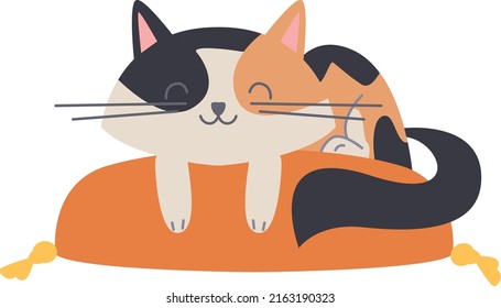 Cute cat sleeping on pillow. Funny smiling pet