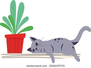 A cute cat is sleeping on a shelf next to a home kitchen garden, beetroot onions and parsley in pots. Urban Cozy home gardening hobby. Trendy