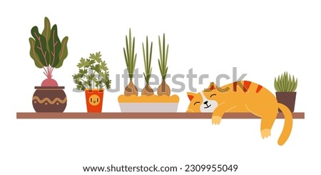A cute cat is sleeping on a shelf next to a home kitchen garden, beetroot onions and parsley in pots. Urban Cozy home gardening hobby. Trendy modern isolated vector illustration, hand drawn, flat.
