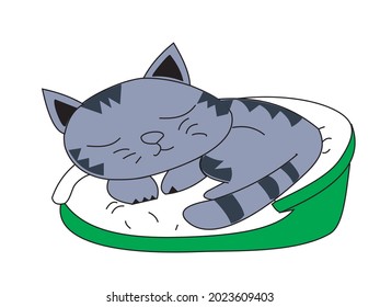 cute cat sleeping on a soft cat bed