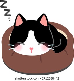 Cute cat sleeping in a pet bed