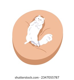 Cute cat sleeping in pet bed, top view. Adorable happy kitty dreaming on feline cushion. Sweet home pussy belly up, lying on soft pillow. Flat graphic vector illustration isolated on white background