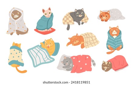 Cute cat sleeping under blanket. Cozy domestic kitten, adorable felines wrapped in blankets and enjoying peaceful slumber vector set of cozy cute cat under blanket illustration