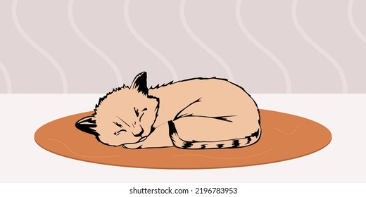 Cute cat sleeps in a rug in a cozy room. A cute sleepy pet lies on a rug at home. Kitten colored flat vector illustration