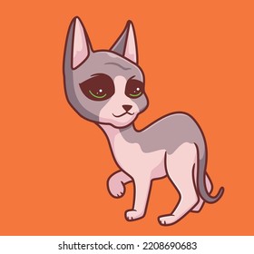 cute cat sphinx walking looking behind. isolated cartoon animal illustration. Flat Style Sticker Icon Design Premium Logo vector. Mascot Character