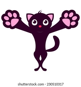 Cute cat standing on its hind legs