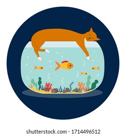 Cute cat stretches and sleeps on aquarium with swimming  gold exotic fish. Flat vector drawn illustration, isolated objects.