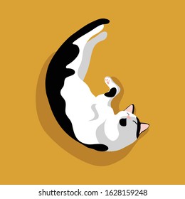 Cute cat stretching. Black and white cat with green eyes  isolated on orange background. Stock vector illustration in flat cartoon style.