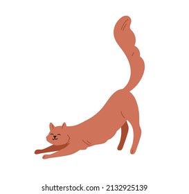 Cute cat stretching itself on front paws with tail raised up. Happy funny kitty. Feline animal. Adorable smiling kitten. Flat vector illustration isolated on white background