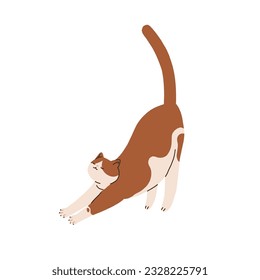 Cute cat stretching, waking up in morning. Funny kitty pet awakening with tail up, raising butts. Adorable amusing feline animal in action. Flat vector illustration isolated on white background