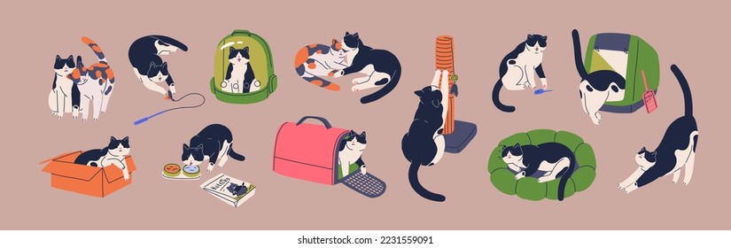 Cute cat and supplies. Funny kitty playing with toy, sleeping in cushion bed, in carrier, box, bag, at scratching post. Feline animals activities, life, stuff set. Isolated flat vector illustrations