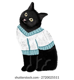 Gato lindo en un suéter