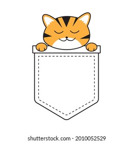 Cute Cat In T Shirt Pocket Vector Illustration