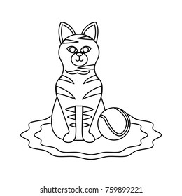 Cute cat with tennis ball