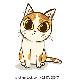 cute cat with three color stripes