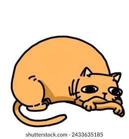 cute cat transparent background vector illustration	