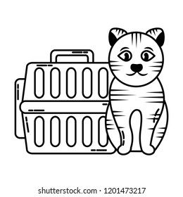 cute cat with transport box