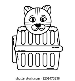 cute cat with transport box