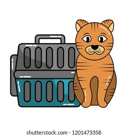 cute cat with transport box