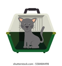 cute cat in transport box