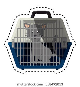 cute cat in transport box