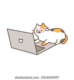 Cute cat. A tricolor cat wearing glasses is working on a computer.