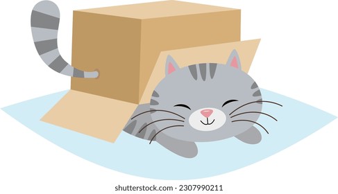 Cute cat under cardboard box
