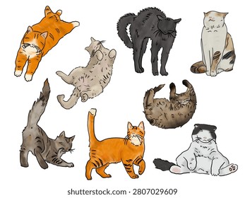 Cute cat with various poses, sitting, chubby, brown, black, white background, vector, faceless, handmade, doodle, sticker, object.fur, longhair, short hair