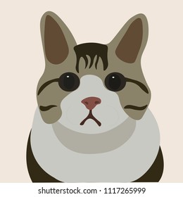 Cute cat vector 