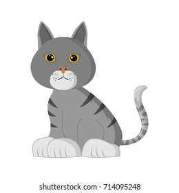 cute cat vector