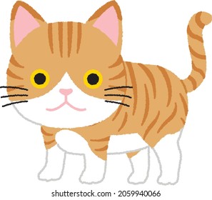 Cute cat. Vector animal illustration isolated on a white background.