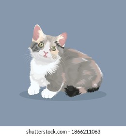 fondo azul vectorial lindo gato