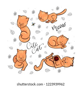 Cute cat. Vector children's illustrations of kittens in different poses with leaves, flowers and inscriptions.