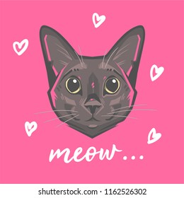 Cute cat vector design. Meow slogan. Animal print. 